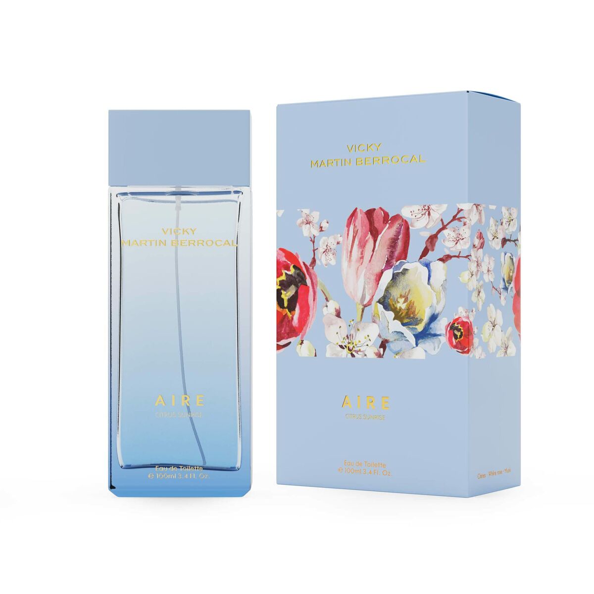 Vicky Martín Berrocal Aire EDT 100 ml