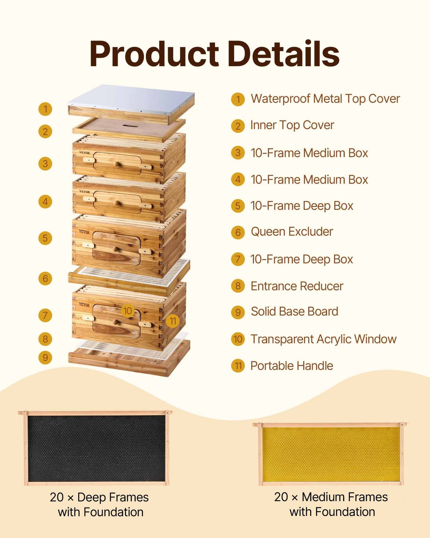 Bee Hive 40 Frame Bee Hives Starter Kit, Beeswax Coated Fir Wood, 2 Deep + 2 Medium Bee Boxes Langstroth Beehive Kit, Transparent Acrylic Windows with Foundations for Beginners Pro Beekeepers