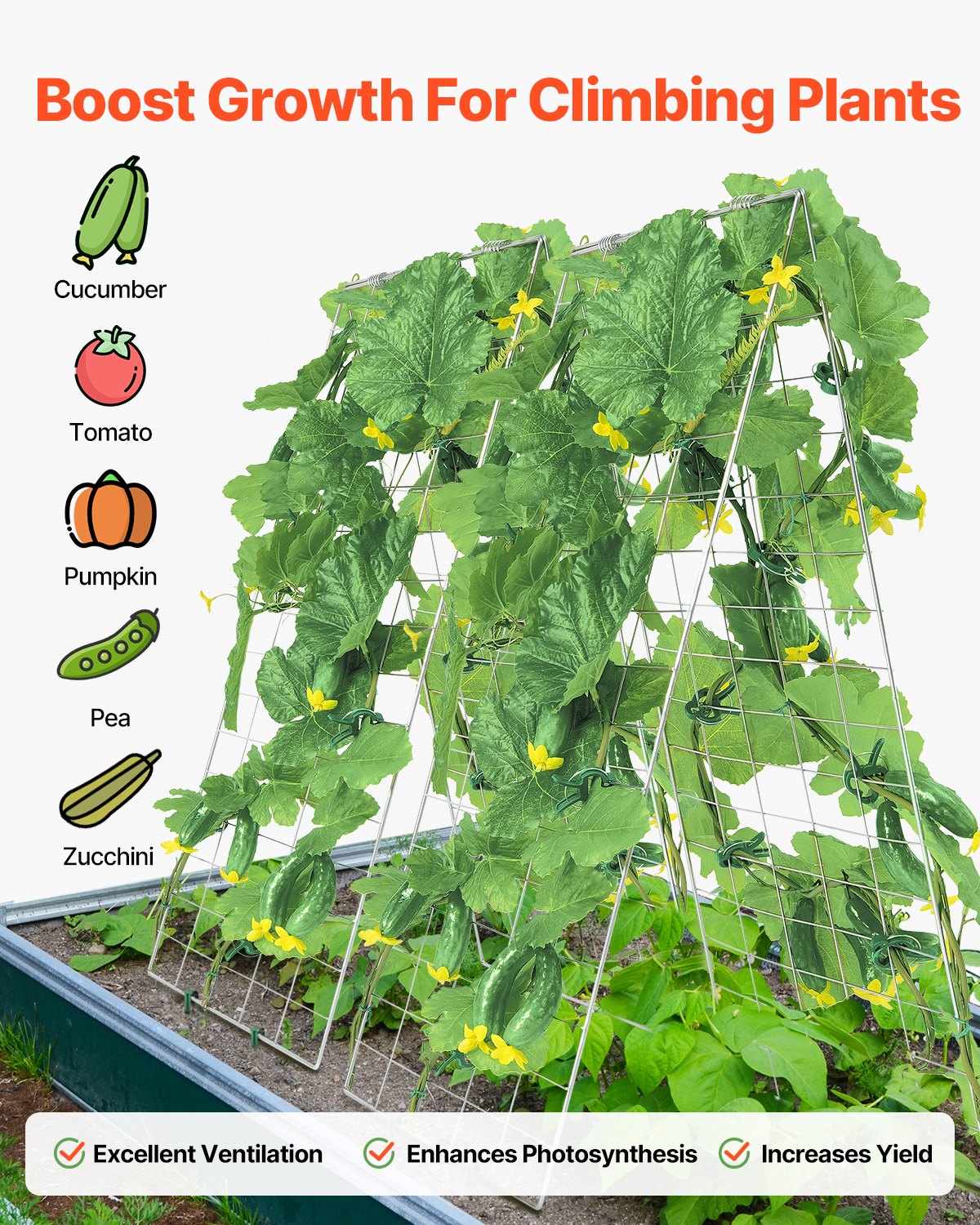 Cucumber Trellis for Climbing Plants, 35" x 55" Foldable Cucumber Trellis Set with Plant Clips, Metal Garden Trellis for Raised Bed, Outdoor Plant Grow Support for Tomato, Squash, Vegetable
