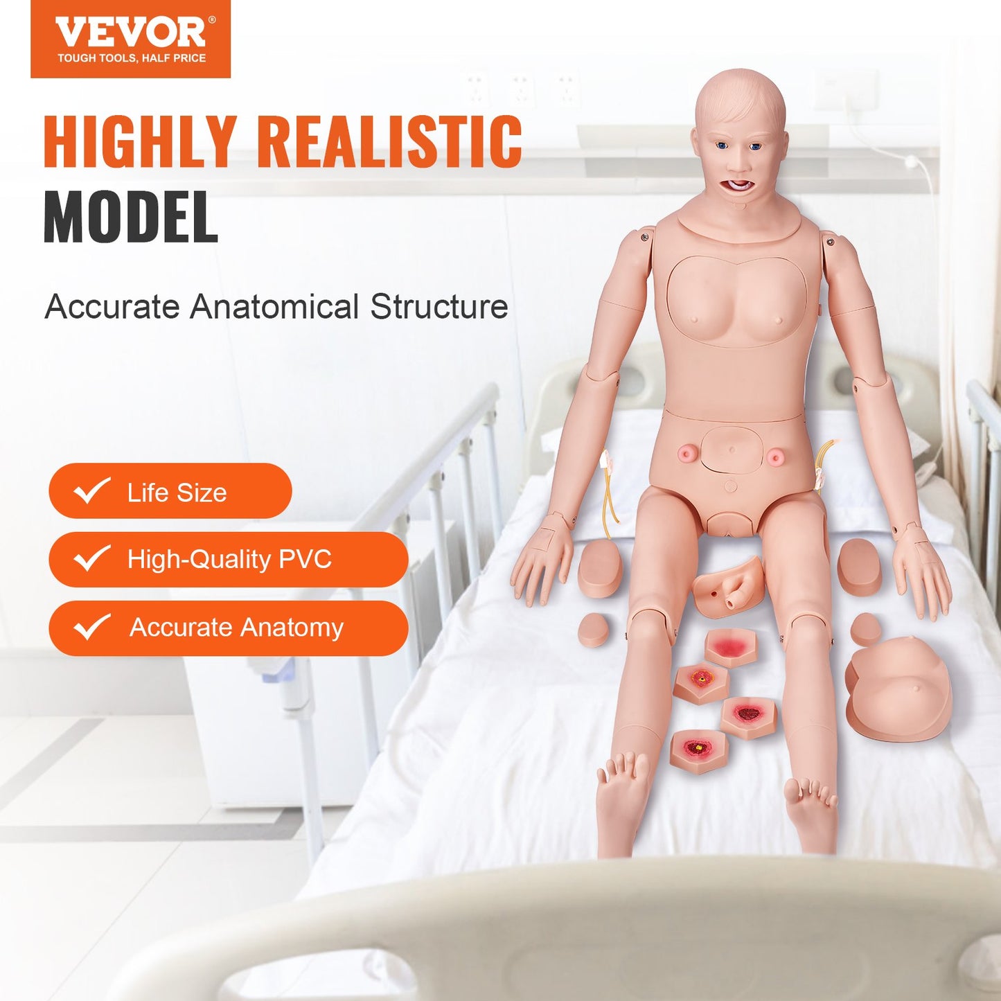 Nursing Training Manikin, Male/Female Life Size Demonstration Human Manikin for Nursing Training, Multifunctional Education Teaching Model, PVC Anatomical Mannequin Body Care Simulator Model