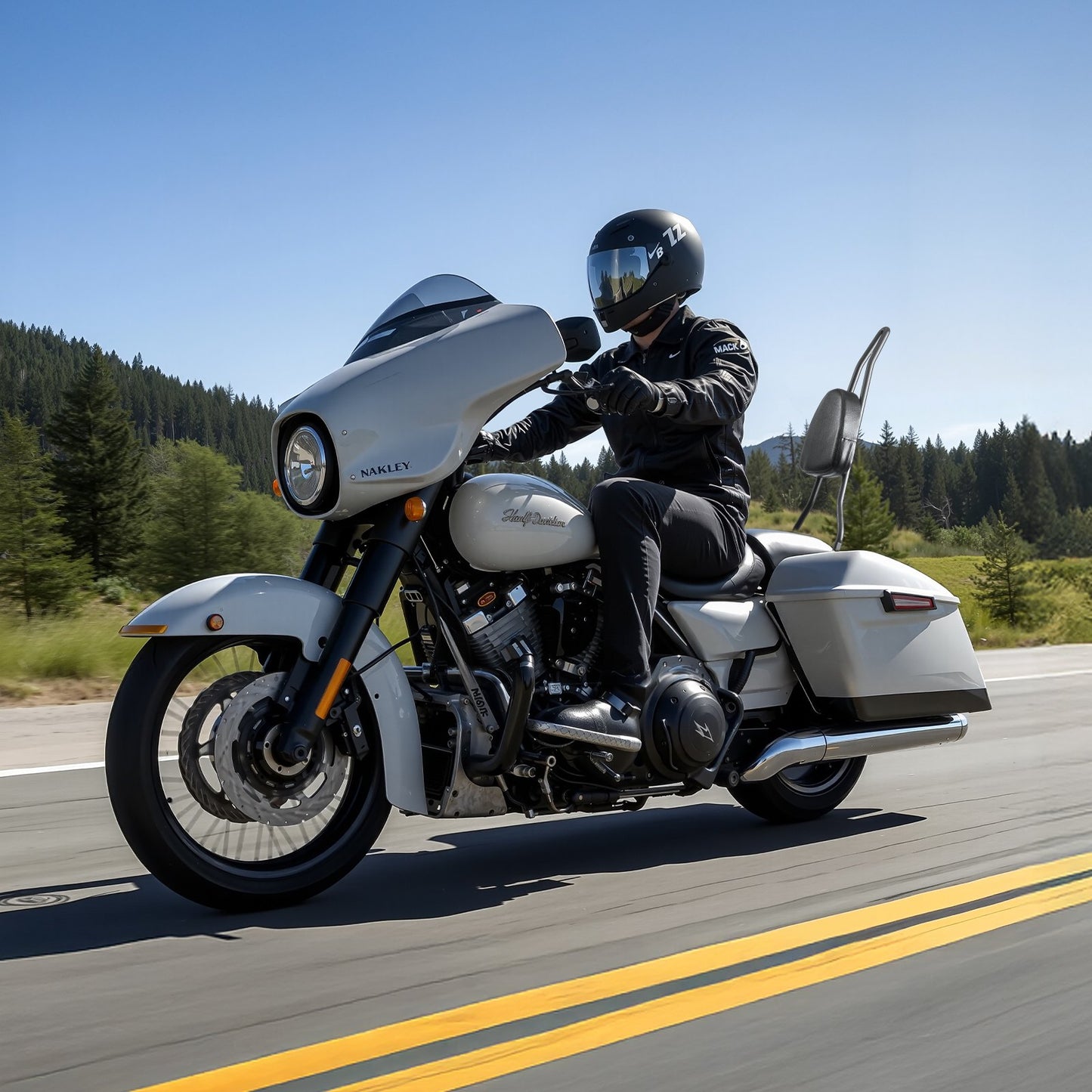 Motorcycle Backrest Sissy Bar, Compatible With Harley-Davidson Dyna Street Glide Road Glide Road King, 730mm Height Detachable Passenger Backrest, For Motorcycles, Black