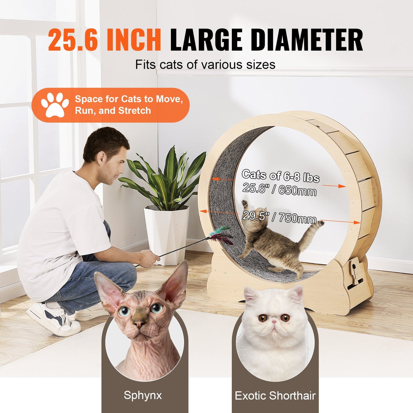 Cat Exercise Wheel, Large Cat Treadmill Wheel for Indoor Cats, 29.5 inch Cat Running Wheel with Detachable Carpet and Cat Teaser for Running/Walking/Training, Suitable for Most Cats