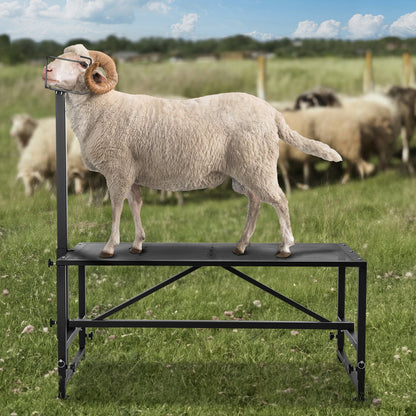 Goat & Sheep Stand, 47x23 inch Livestock Stand, Metal Livestock Milking and Shearing Stand 21" to 33" Adjustable Height, with Headpiece and Nose Loop, 500lbs Loading Weight, Black