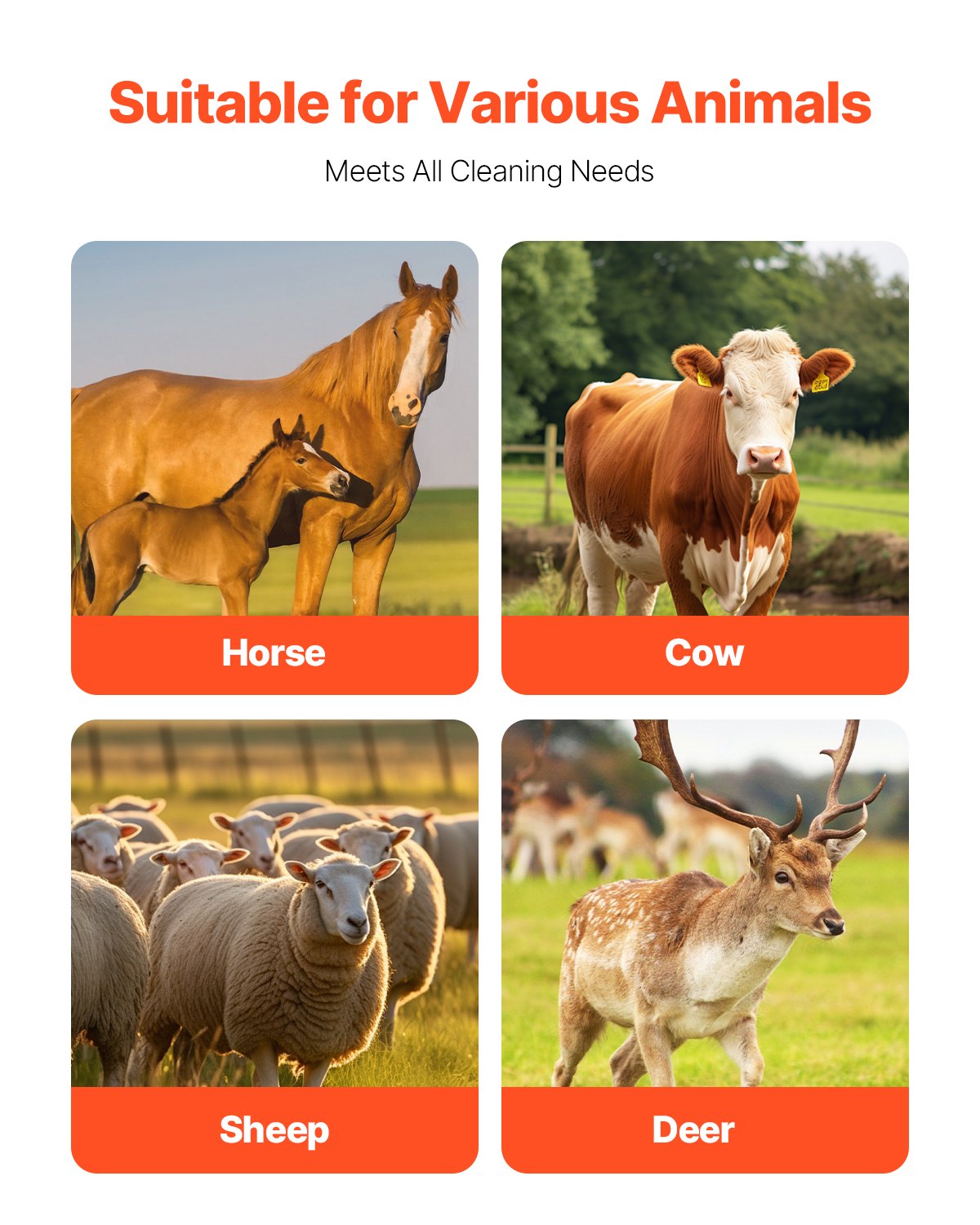 Livestock Scratching Brush, 3 Pcs Horse Brush with 6 Screws, 17.1 x 7.5 in Cow Scratcher, for Back Itch Relief & Keep Cleaning, Grooming & Scratching Post Brush for Horse, Pig, Cattle Supplies