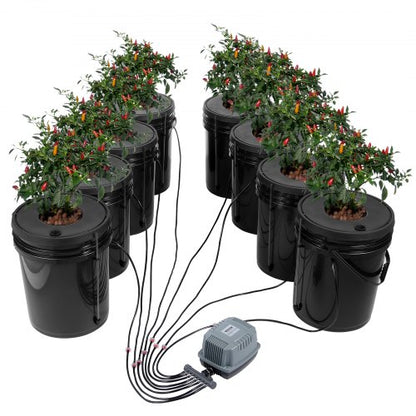 DWC Hydroponics Grow System, Hydroponic Growing System, Deep Water Culture 5-Gallon 8 Buckets, DWC System with Air Pump, Air Stones and Water Level Device for Leafy Vegetables