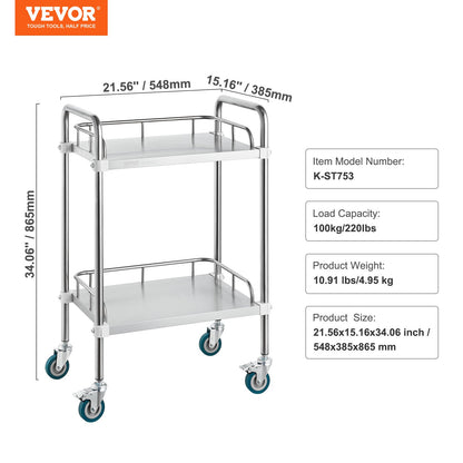Lab Rolling Cart, 2-Shelf Stainless Steel Rolling Cart, Lab Serving Cart with Swivel Casters, Dental Utility Cart for Clinic, Lab, Hospital, Salon, 385 x 548 x 865 mm