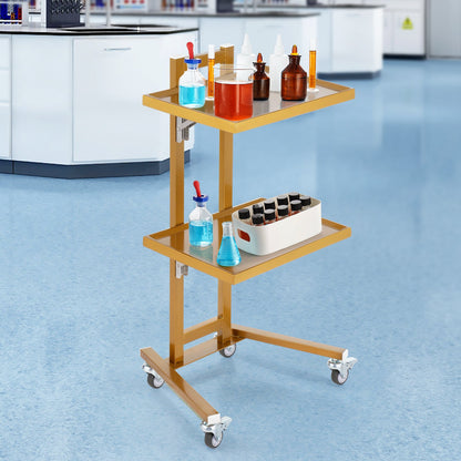 2 Tiers Stainless Steel Lab Carts, Lab Utility Cart with 2 Trays, Mobile Medical Cart with 4 Silent Wheels, Lab Rolling Cart for Lab, Clinic, Hospital, Salon, Golden