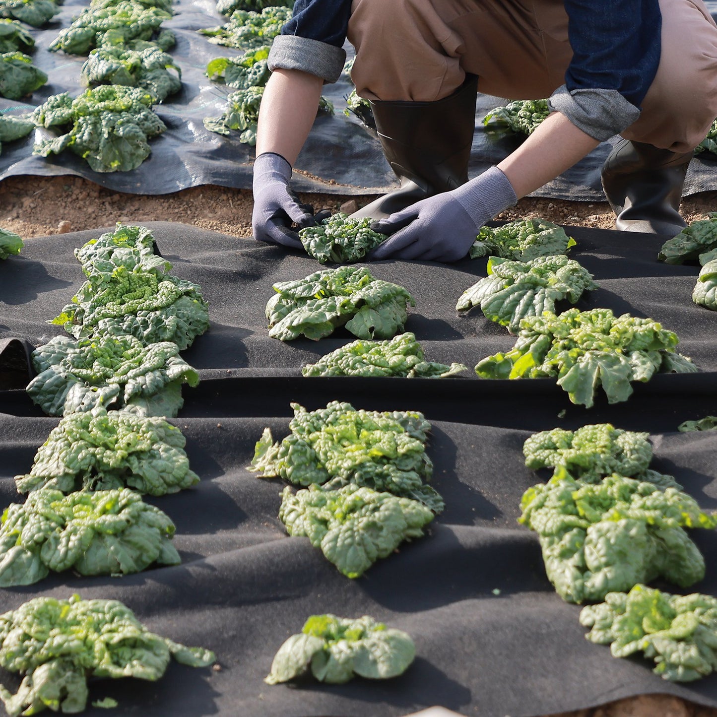 Uppfartstyg, 3x100FT non-woven geotextil för landskapsarkitektur, kraftig ogräsbarriärtyg för trädgårdar, 4OZ landskapstyg, dräneringstyg för franska avlopp, marktäckande ogräsbekämpningstyg