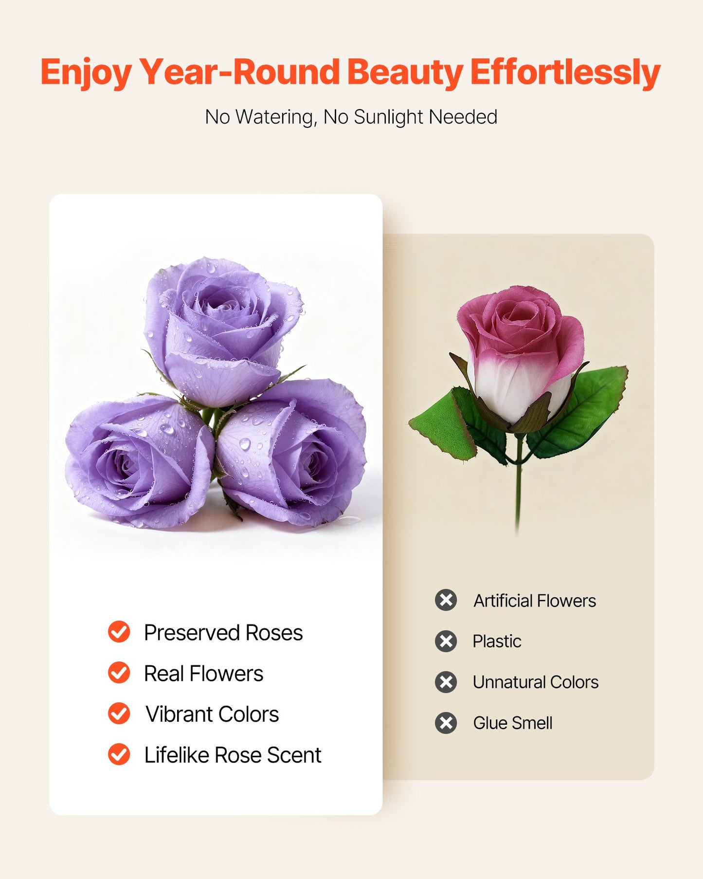 Forever Flowers, 50 Preserved Roses in a Box, Eternal Flowers Immortal Bouquet Birthday Present for Women Her Wife Mothers, Anniversary, Valentine's Day,Christmas, Lavender Purple