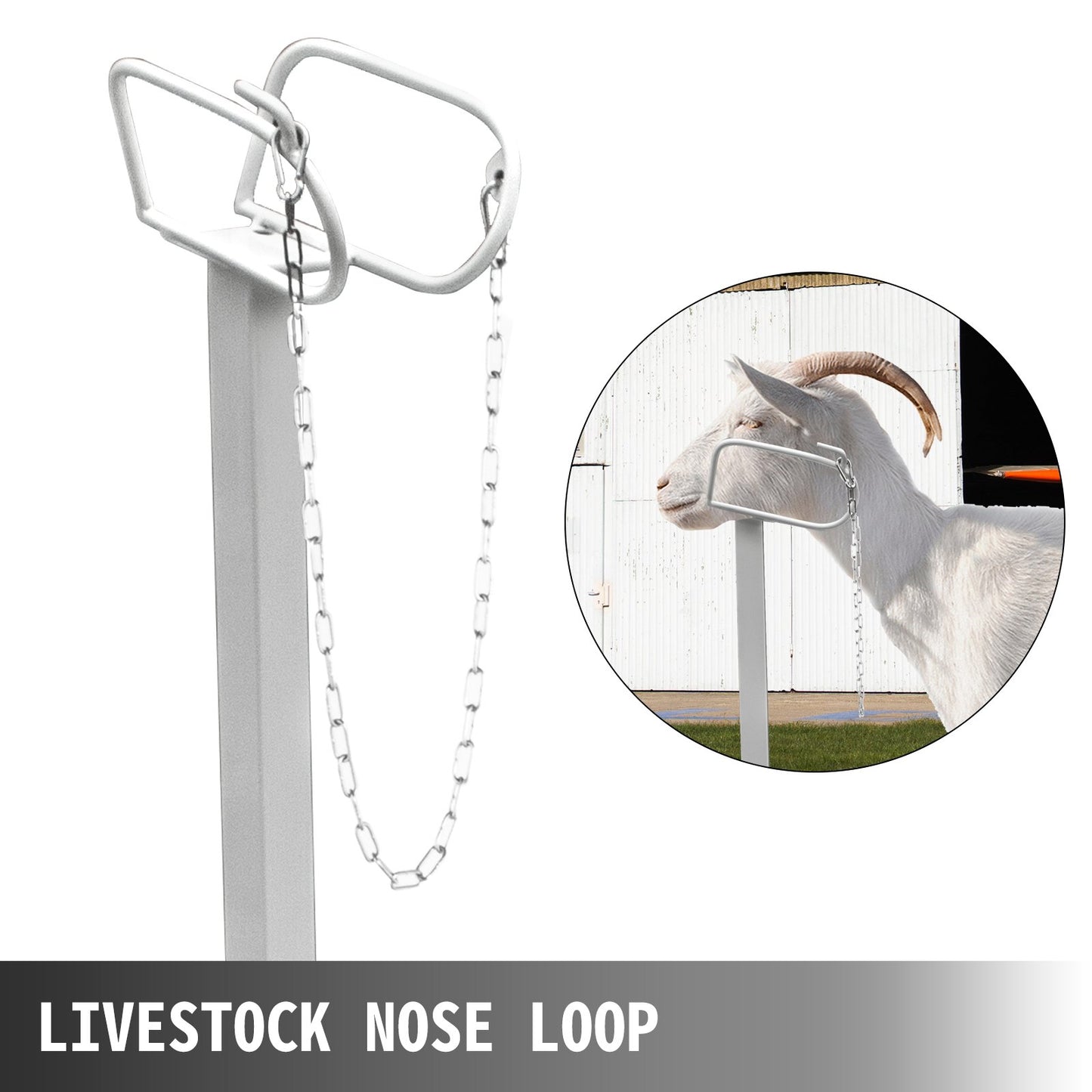 Boskapsställ 51x23 tum, Trimningsställ med rakt huvudstycke, Gettrimningsställ Metallram Fårklippningsställ Boskapstrimningsställ