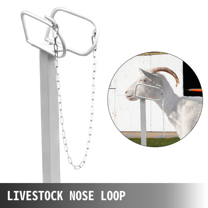 Boskapsställ 51x23 tum, Trimningsställ med rakt huvudstycke, Gettrimningsställ Metallram Fårklippningsställ Boskapstrimningsställ