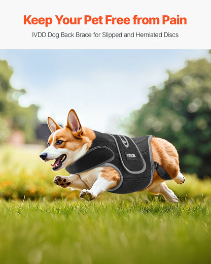 Ryggstöd för hundar vid intrauterin sjukdom, ortopediskt stöd för hundar, justerbart ryggstöd med reflekterande kant, ryggradsstöd för hundar för smärtlindring, sele för ryggstöd före och efter operation