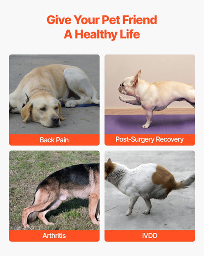 Ryggstöd för hundar vid intrauterin sjukdom, ortopediskt stöd för hundar, justerbart ryggstöd med reflekterande kant, ryggradsstöd för hundar för smärtlindring, sele för ryggstöd före och efter operation