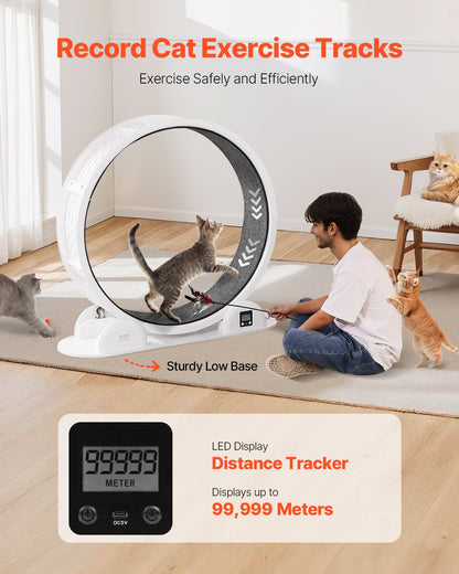 Cat Exercise Wheel with Pedometer, 40.8 in, Cat Running Wheel with Brake &amp; Carpeted Runway, Quiet Cat Treadmill for Indoor Cats Under 30lbs, Cat Exerciser for Pets Health &amp; Fitness White
