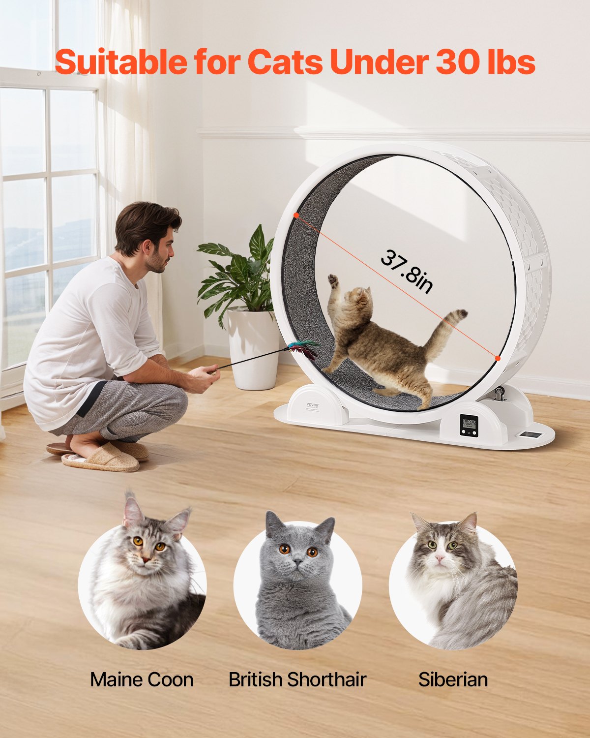 Cat Exercise Wheel with Pedometer, 40.8 in, Cat Running Wheel with Brake &amp; Carpeted Runway, Quiet Cat Treadmill for Indoor Cats Under 30lbs, Cat Exerciser for Pets Health &amp; Fitness White