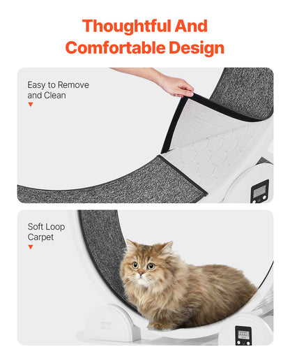 Cat Exercise Wheel with Pedometer, 40.8 in, Cat Running Wheel with Brake &amp; Carpeted Runway, Quiet Cat Treadmill for Indoor Cats Under 30lbs, Cat Exerciser for Pets Health &amp; Fitness White