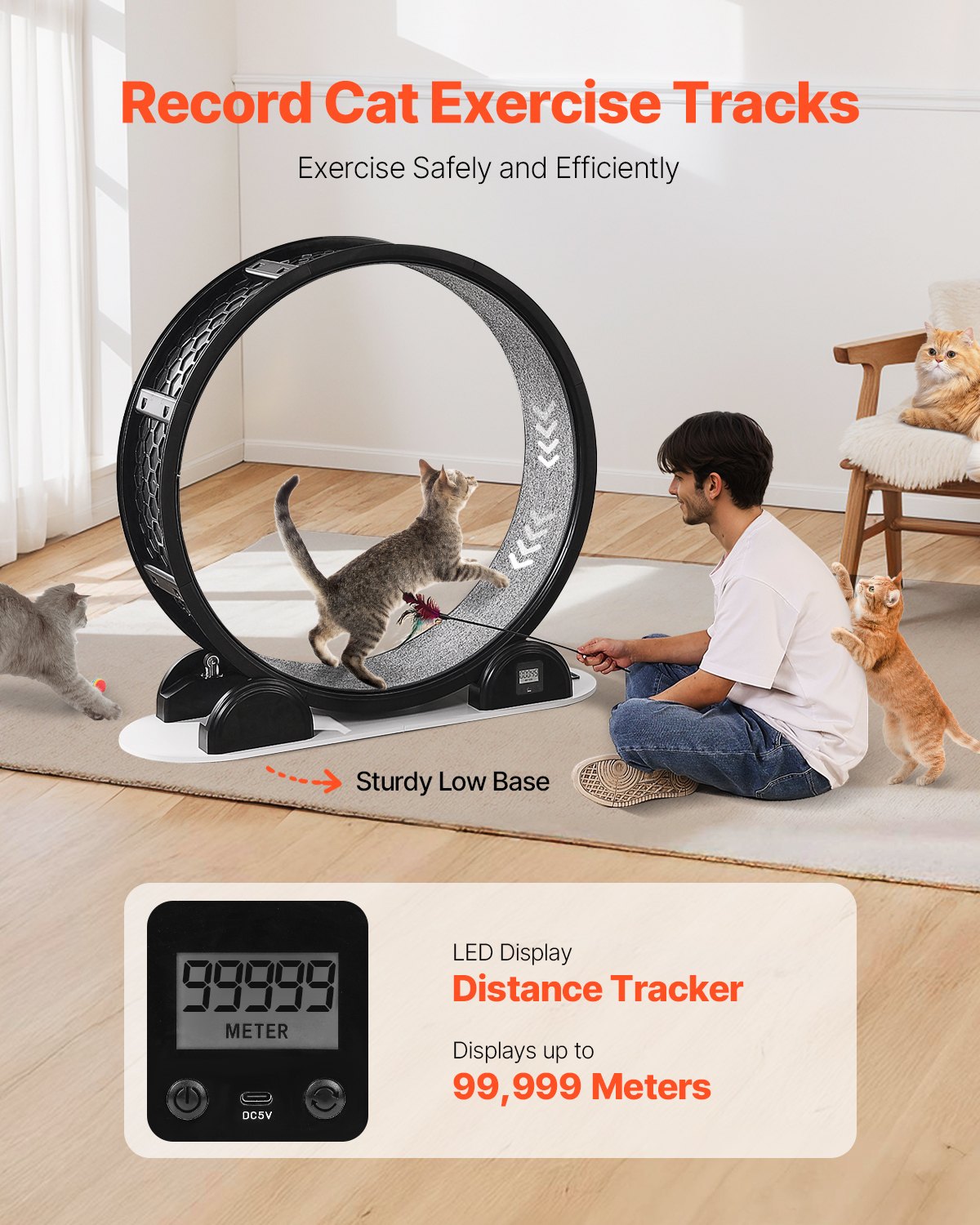 Cat Exercise Wheel with Pedometer, 40.8 in, Cat Running Wheel with Brake & Carpeted Runway, Quiet Cat Treadmill for Indoor Cats Under 30lbs, Cat Exerciser for Pets Health & Fitness Black