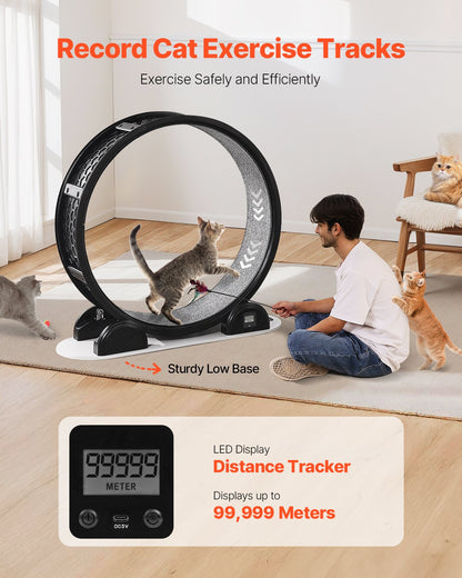 Cat Exercise Wheel with Pedometer, 40.8 in, Cat Running Wheel with Brake & Carpeted Runway, Quiet Cat Treadmill for Indoor Cats Under 30lbs, Cat Exerciser for Pets Health & Fitness Black
