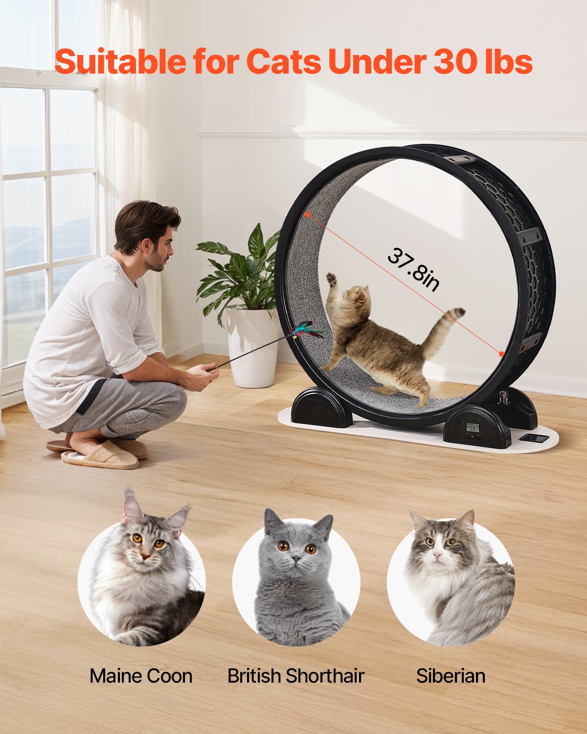 Cat Exercise Wheel with Pedometer, 40.8 in, Cat Running Wheel with Brake & Carpeted Runway, Quiet Cat Treadmill for Indoor Cats Under 30lbs, Cat Exerciser for Pets Health & Fitness Black